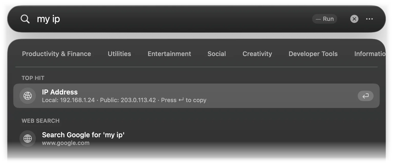 IP Address result showing a local and a public address